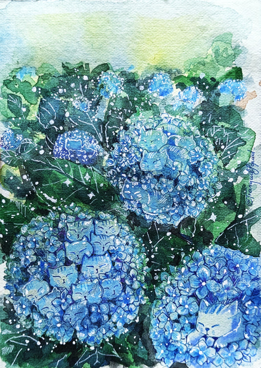 Blue Hydrangeas